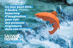 Sauvons nos poissons migrateurs !