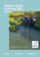 Rapport annuel d'activité 2025
