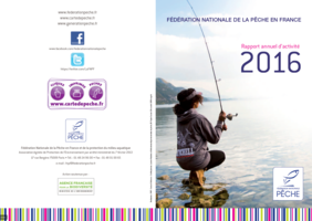 Rapport annuel d'activité 2016