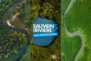 Nos petits cours d’eau nous alertent :  écoutons-les ! 