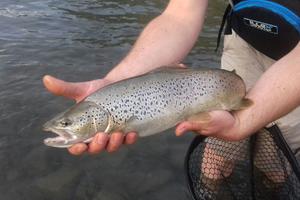 Lâchez prise ! Allez à la pêche !