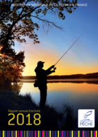 Rapport annuel d'activité 2018